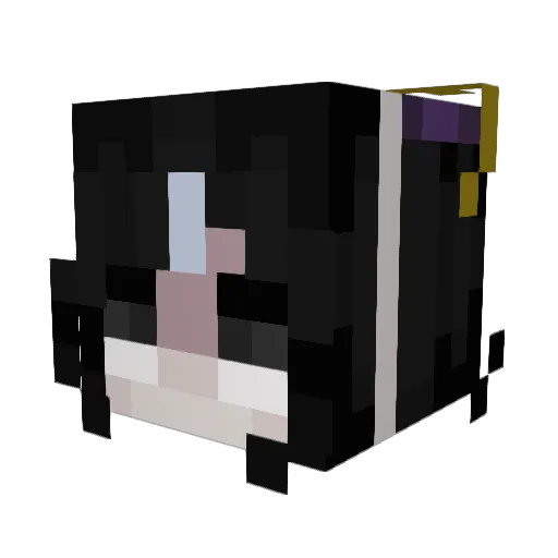 bugmeat999 Minecraft avatar head, 3D render
