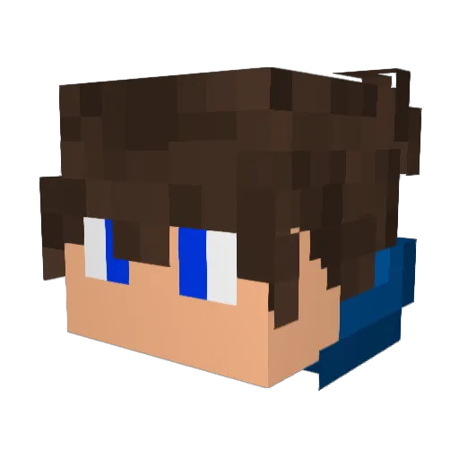 bugsanator007 Minecraft avatar head, 3D render