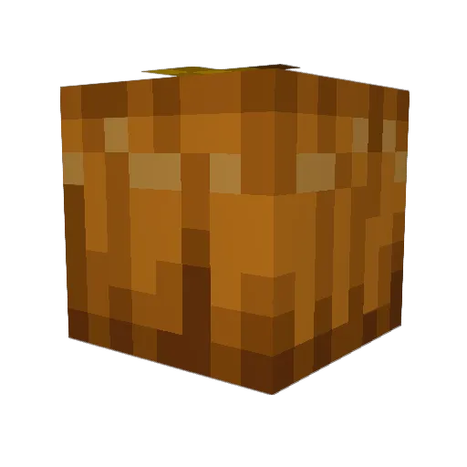 bugslikeshugs Minecraft avatar head, 3D render