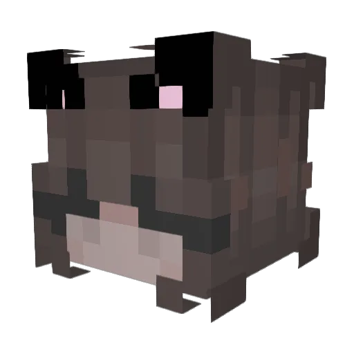 bugssfuneral Minecraft avatar head, 3D render