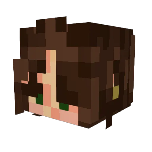 bugwrldd Minecraft avatar head, 3D render