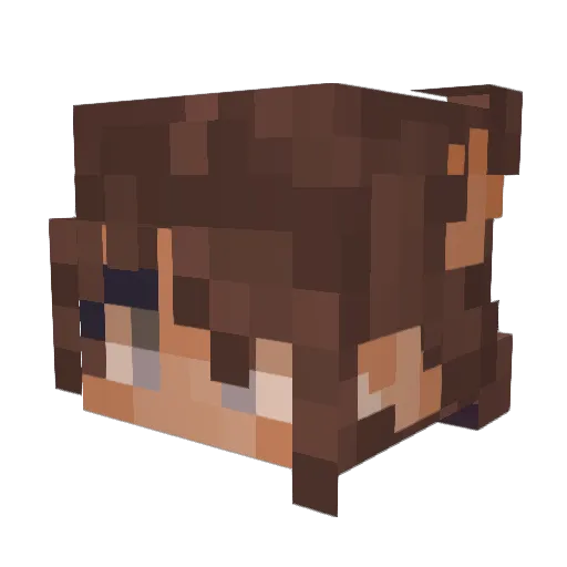 bugxsoup Minecraft avatar head, 3D render