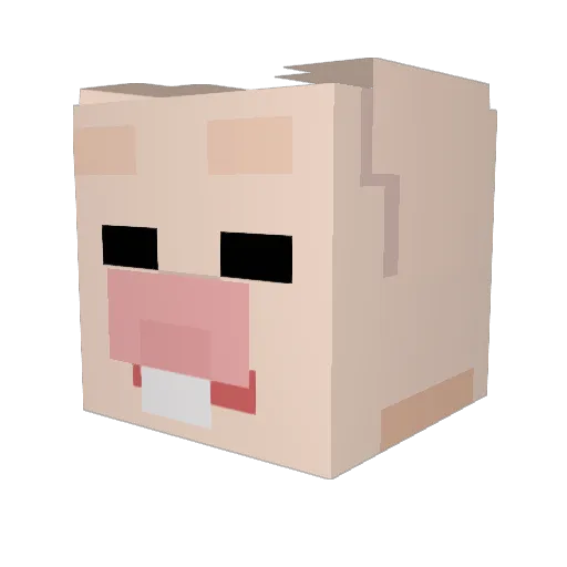 buhibuhi Minecraft avatar head, 3D render