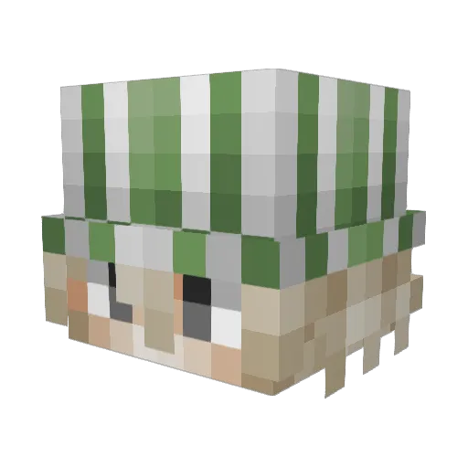 buhlicky Minecraft avatar head, 3D render