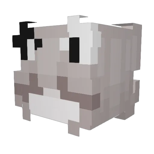 buhnae Minecraft avatar head, 3D render