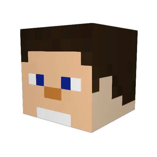 buildbags Minecraft avatar head, 3D render