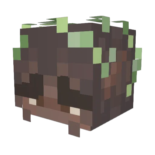 buildermons Minecraft avatar head, 3D render