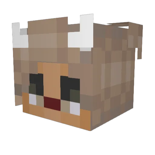 bujo007 Minecraft avatar head, 3D render