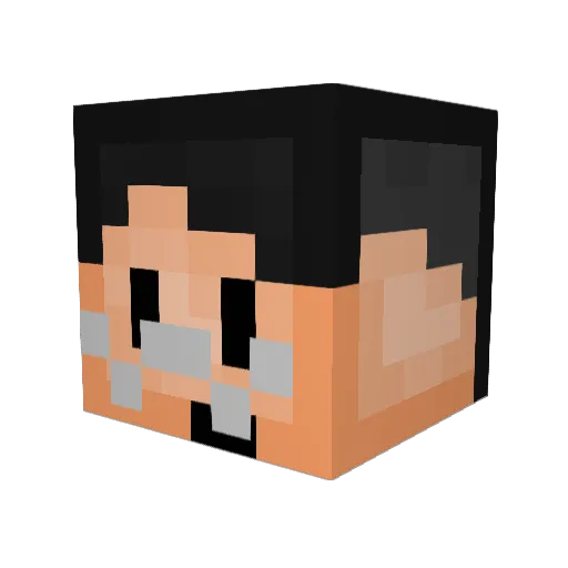 bukkboy Minecraft avatar head, 3D render