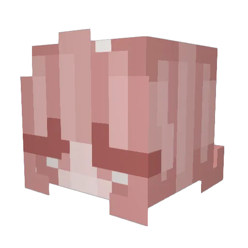 bukkidss Minecraft avatar head, 3D render