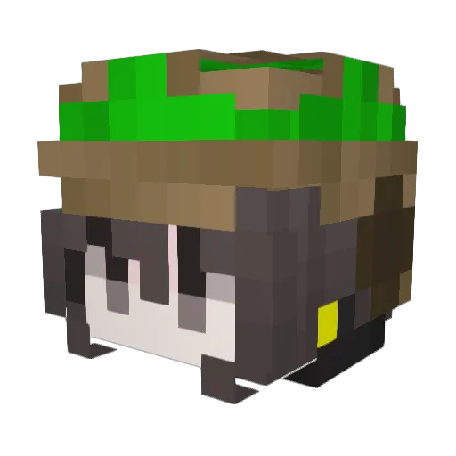bukkorori_ Minecraft avatar head, 3D render