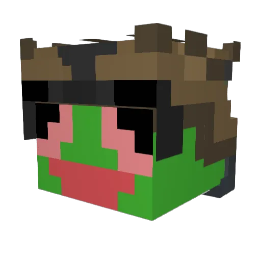 bula_naleszczyn1 Minecraft avatar head, 3D render