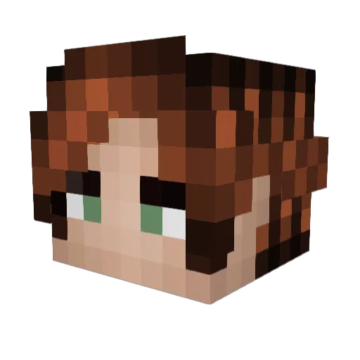 bulbasaurb Minecraft avatar head, 3D render