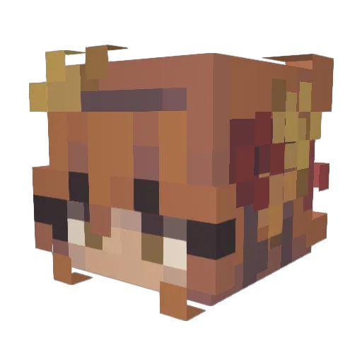 bulderlove Minecraft avatar head, 3D render