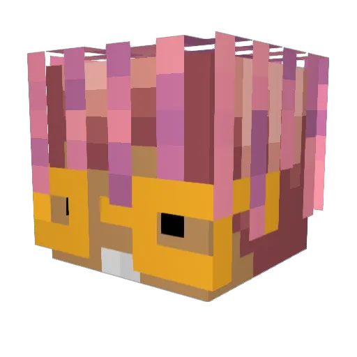 bulderr Minecraft avatar head, 3D render