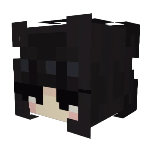 bulgogibowlsam Minecraft avatar head, 3D render