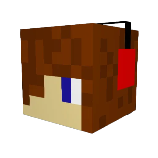bulli6_br Minecraft avatar head, 3D render