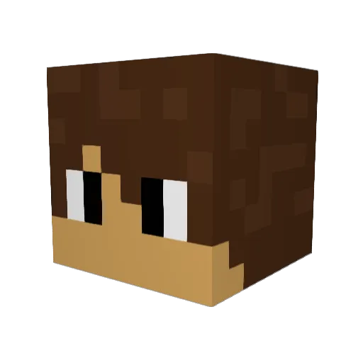 bullman24 Minecraft avatar head, 3D render