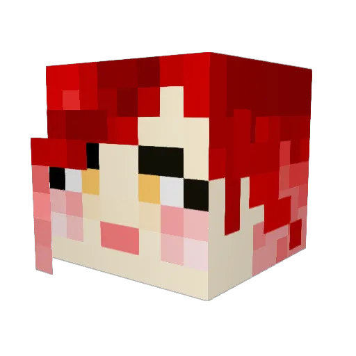 bullseye1155 Minecraft avatar head, 3D render