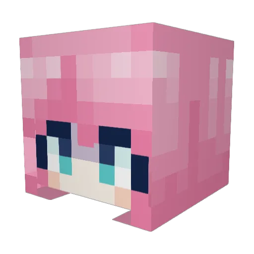 bulmyeon Minecraft avatar head, 3D render