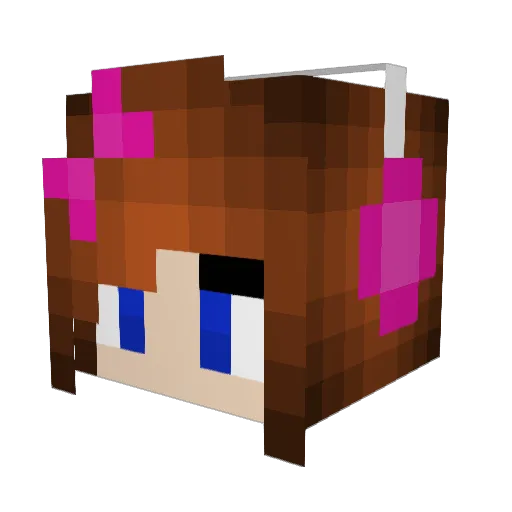bumbleB11 Minecraft avatar head, 3D render