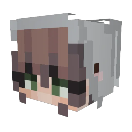 bumblebee2967 Minecraft avatar head, 3D render