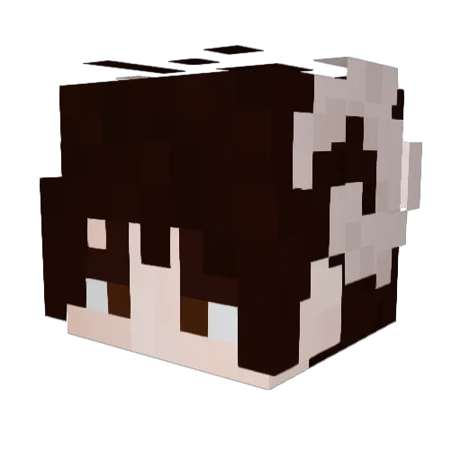 bumblemom Minecraft avatar head, 3D render