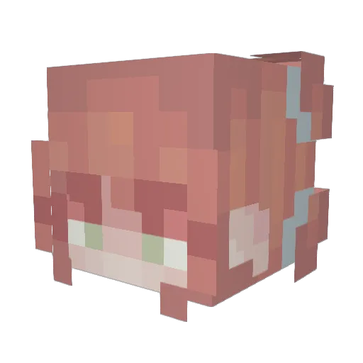 bumbles0311 Minecraft avatar head, 3D render