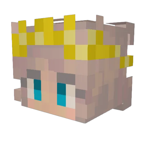bumblyy_bee Minecraft avatar head, 3D render
