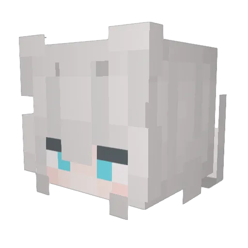 bumbu26 Minecraft avatar head, 3D render