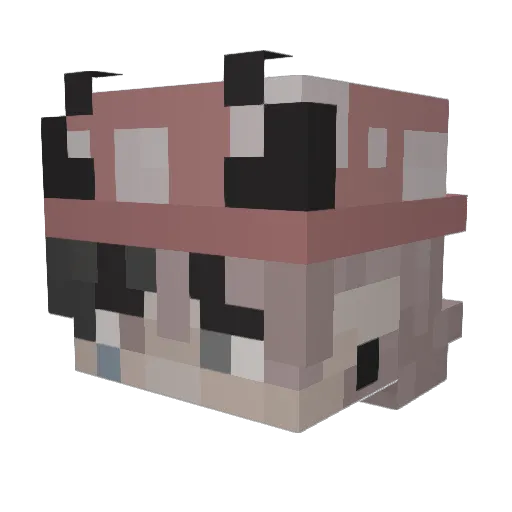 bummedsyn Minecraft avatar head, 3D render
