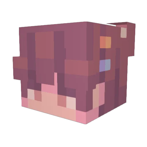 bumn Minecraft avatar head, 3D render