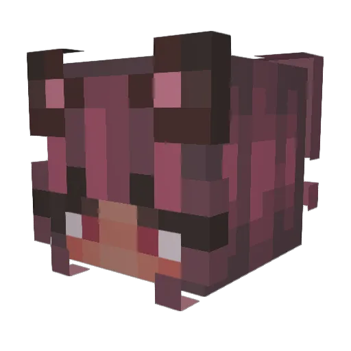 bun_nilla Minecraft avatar head, 3D render