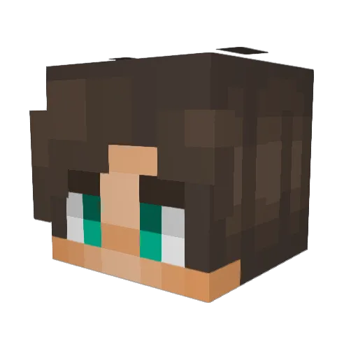 bunandcheese Minecraft avatar head, 3D render