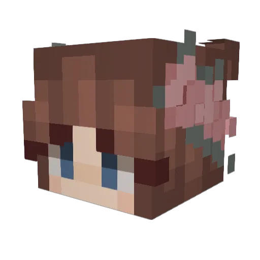bunbun42069 Minecraft avatar head, 3D render