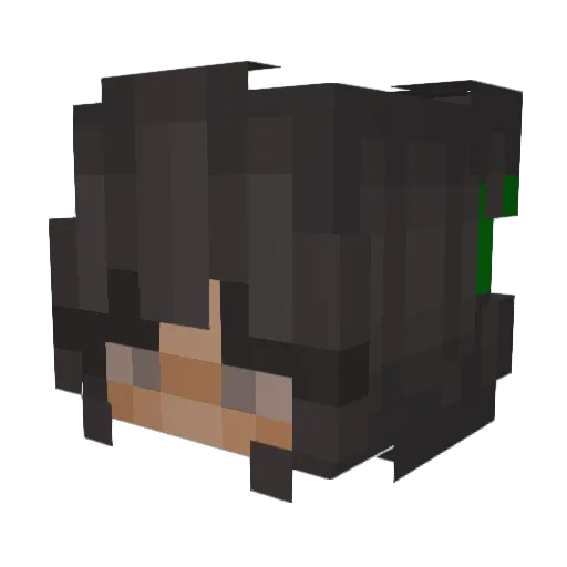 bunbunshoes Minecraft avatar head, 3D render
