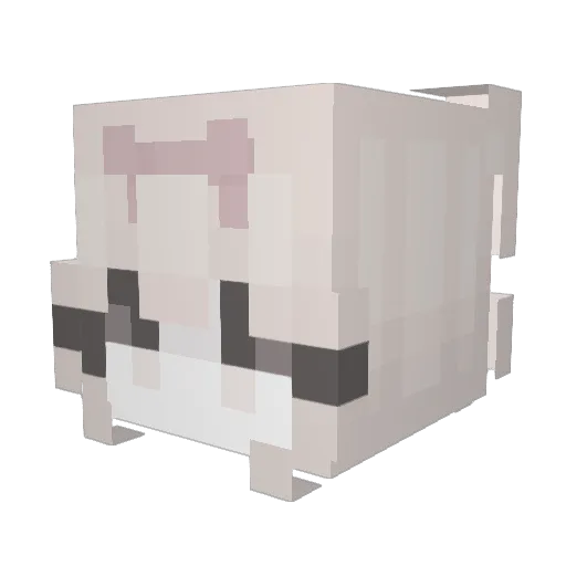 bunfeti Minecraft avatar head, 3D render