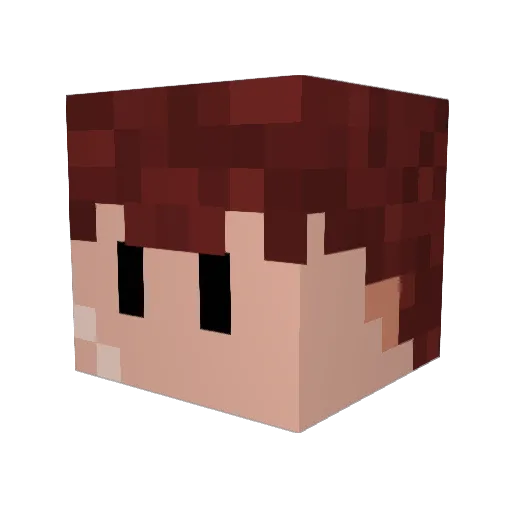 bungaleer Minecraft avatar head, 3D render