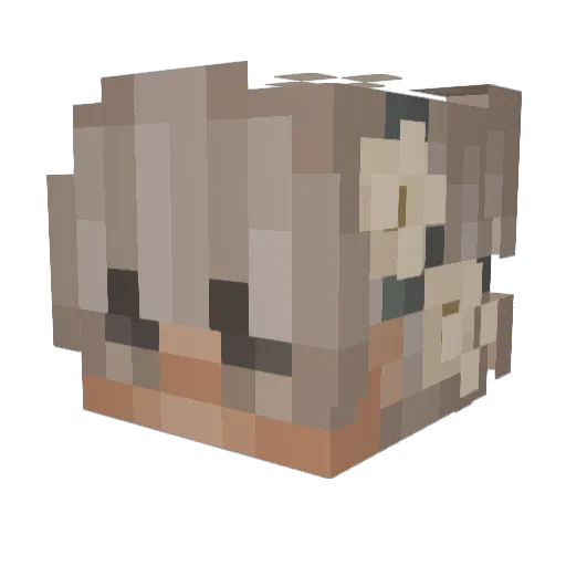 bungud_ Minecraft avatar head, 3D render