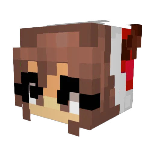 bunheyfool Minecraft avatar head, 3D render