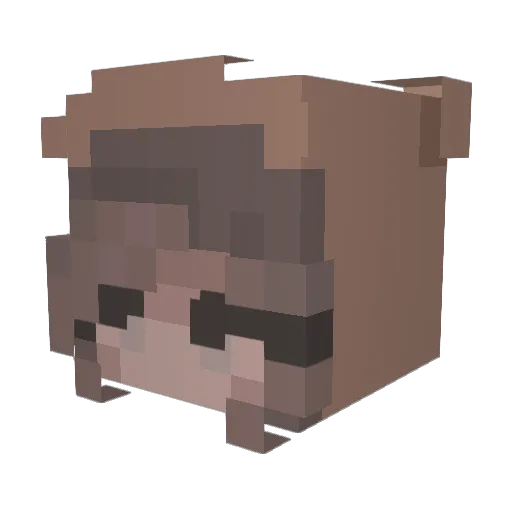 buniiea Minecraft avatar head, 3D render