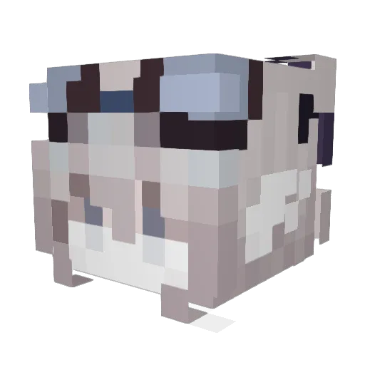 buniiibuns Minecraft avatar head, 3D render