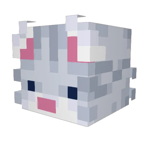bunkid Minecraft avatar head, 3D render