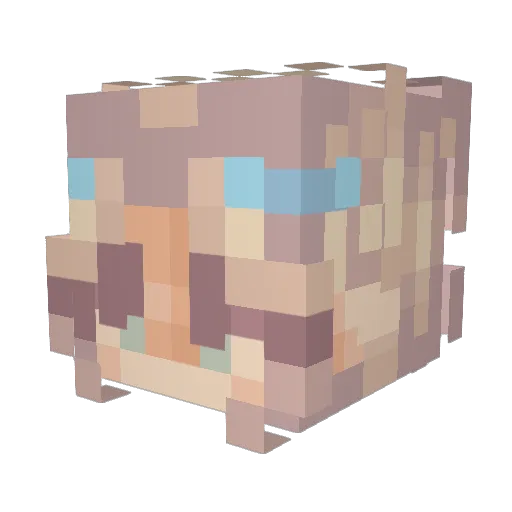 bunkiis Minecraft avatar head, 3D render