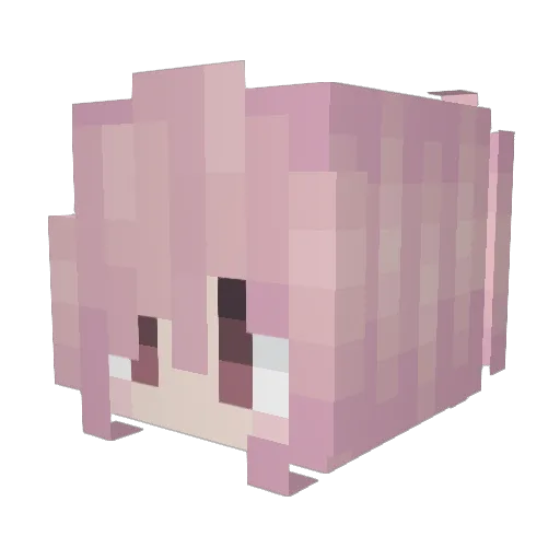 bunkol Minecraft avatar head, 3D render