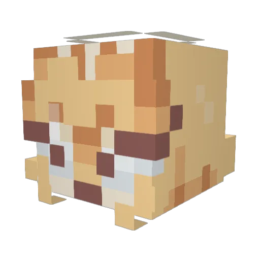 bunni_XP Minecraft avatar head, 3D render