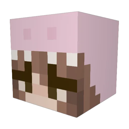 bunnie2525 Minecraft avatar head, 3D render