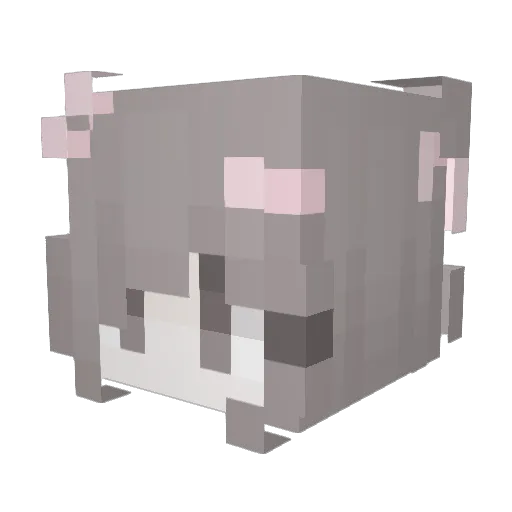 bunnienom Minecraft avatar head, 3D render