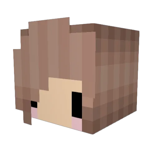bunnikun Minecraft avatar head, 3D render