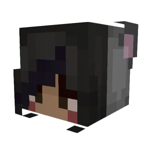 bunnsiee Minecraft avatar head, 3D render